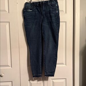 Judy Blue Dark Wash Ankle Jeans